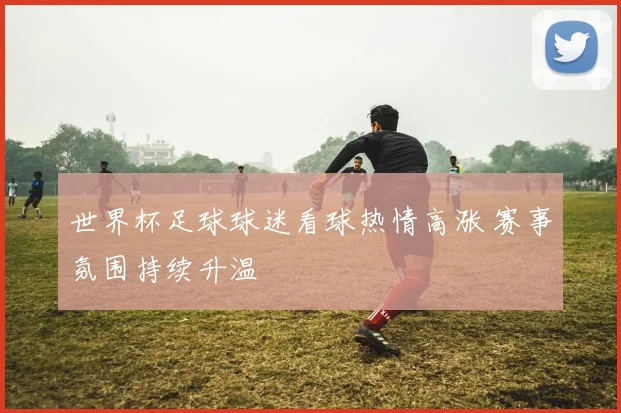 世界杯足球球迷看球热情高涨 赛事氛围持续升温