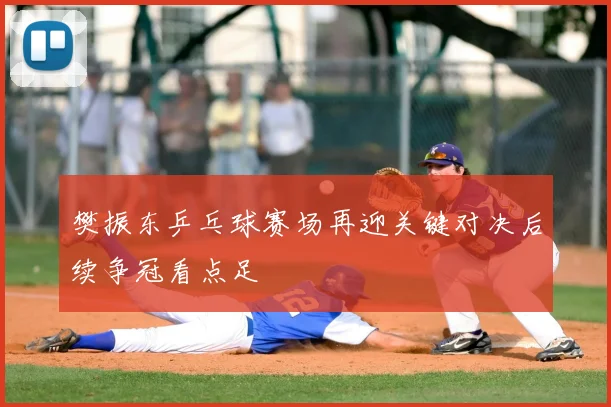 樊振东乒乓球赛场再迎关键对决后续争冠看点足