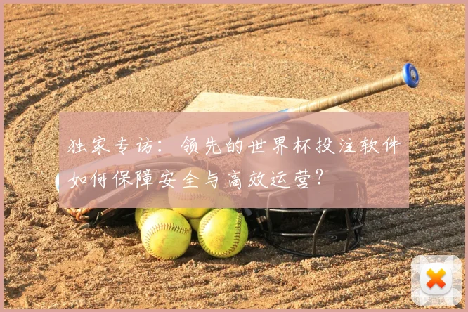独家专访:领先的世界杯投注软件如何保障安全与高效运营?