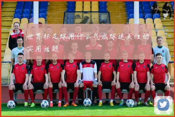 世界杯足球用什么气成球迷关注的实用话题
