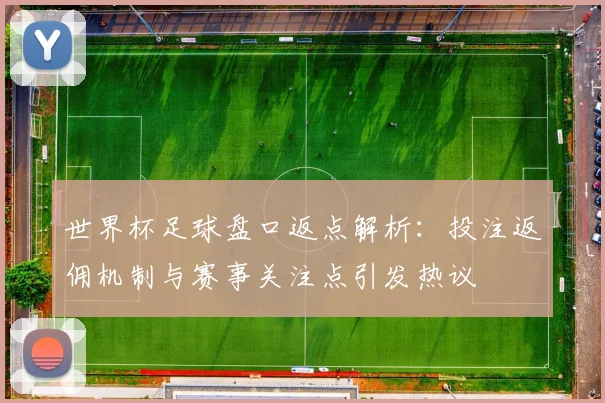 世界杯足球盘口返点解析:投注返佣机制与赛事关注点引发热议