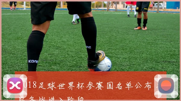 2018足球世界杯参赛国名单公布 各队备战进入阶段