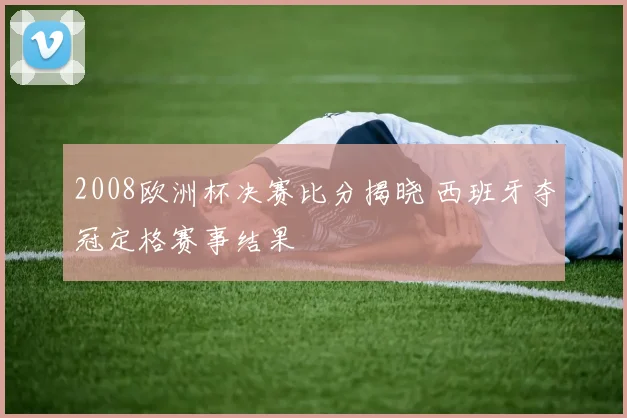 2008欧洲杯决赛比分揭晓 西班牙夺冠定格赛事结果