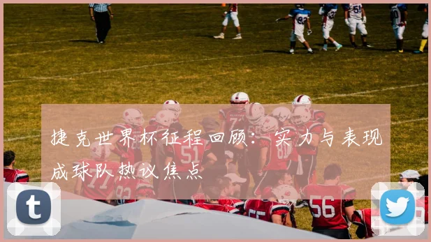 捷克世界杯征程回顾：实力与表现成球队热议焦点
