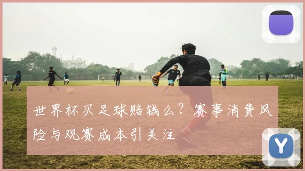 世界杯买足球赔钱么?赛事消费风险与观赛成本引关注