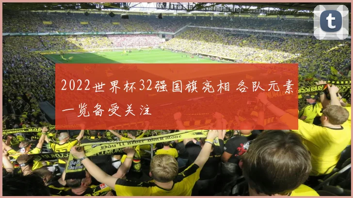 2022世界杯32强国旗亮相 各队元素一览备受关注