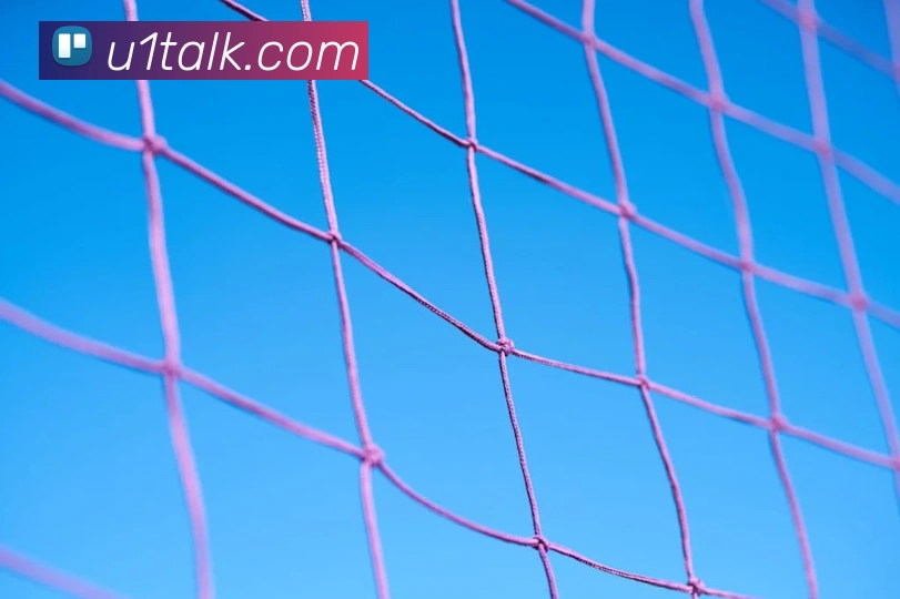 买球官方品牌故事