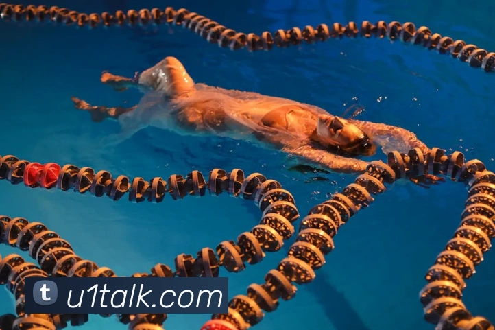 买球官方服务体系